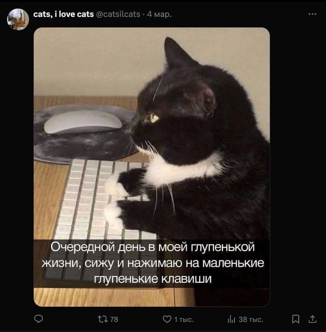 Post media